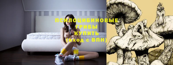 хмурый Алзамай