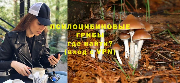 хмурый Алзамай
