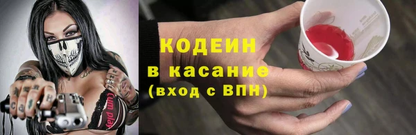 хмурый Алзамай