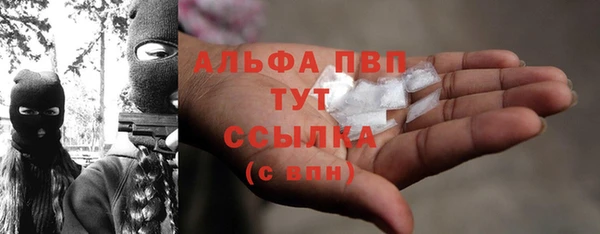 стаф Новозыбков