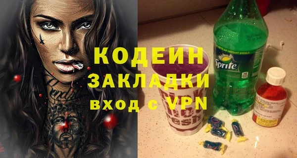 хмурый Алзамай